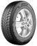 Bridgestone DURAVIS VAN WINTER 225/75 R16 121 R Zimné