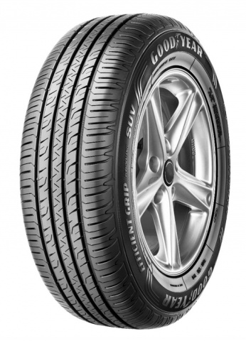 Goodyear EFFICIENTGRIP PERFORMANCE SUV 245/55 R19 103 V Letné