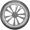 Barum POLARIS 5 205/55 R17 95 V Zimné