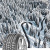 Sava ESKIMO HP 2 215/55 R17 98 V Zimné