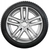 Dunlop WINTER 195/65 R15 91 H Zimní