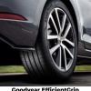 Goodyear EFFICIENTGRIP PERFORMANCE 2 225/45 R17 91 W Letní