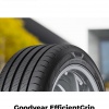Goodyear EFFICIENTGRIP PERFORMANCE 2 225/45 R17 91 W Letní